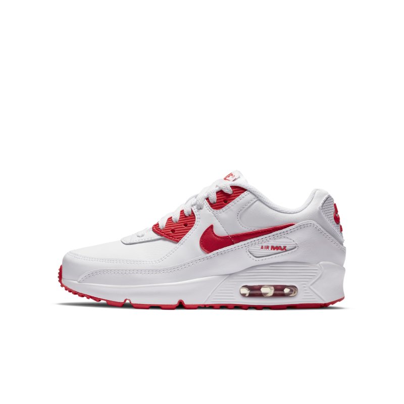 Nike Air Max 90 CD6864-106
