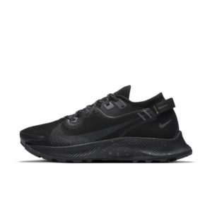 Nike Pegasus Trail 2 GORE-TEX Trail Running Black (CU2018-001)