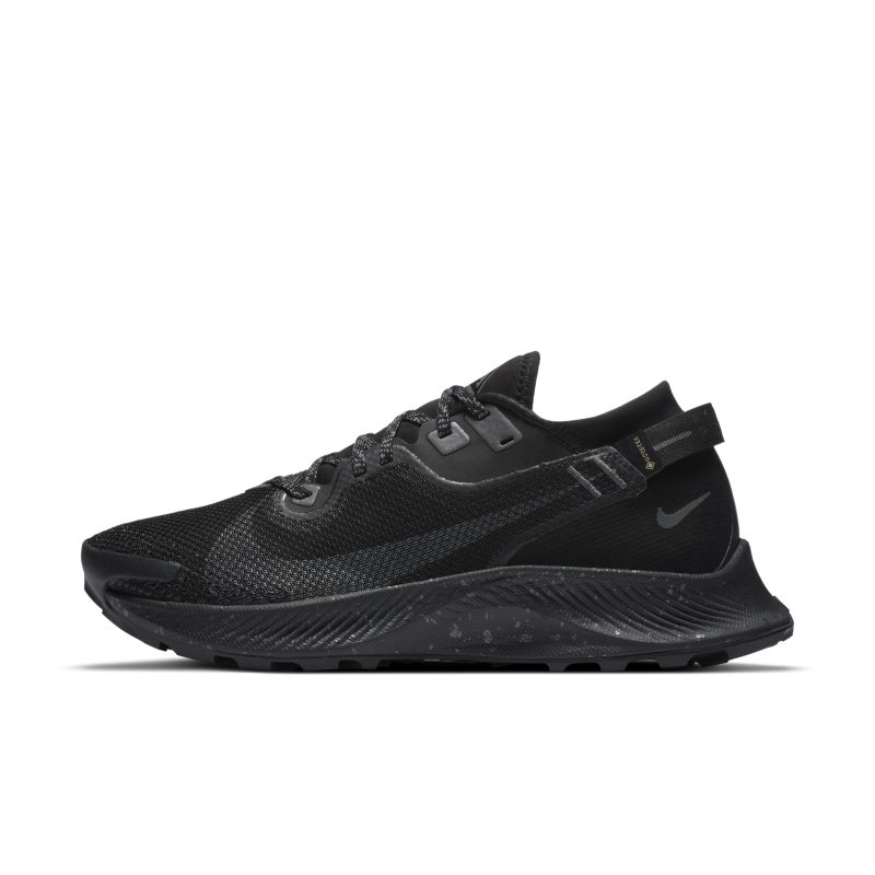Nike Pegasus Trail 2 GORE-TEX Trail Running Black (CU2018-001)
