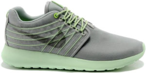 Nike Roshe Run Dynamic Flywire Gamma Grey (580579-037)