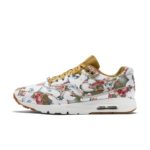 Nike Air Max 1 747105-700