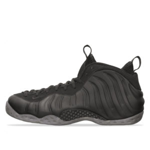 Nike Air Foamposite One Stealth Black/Black-Medium Grey (314996-010)