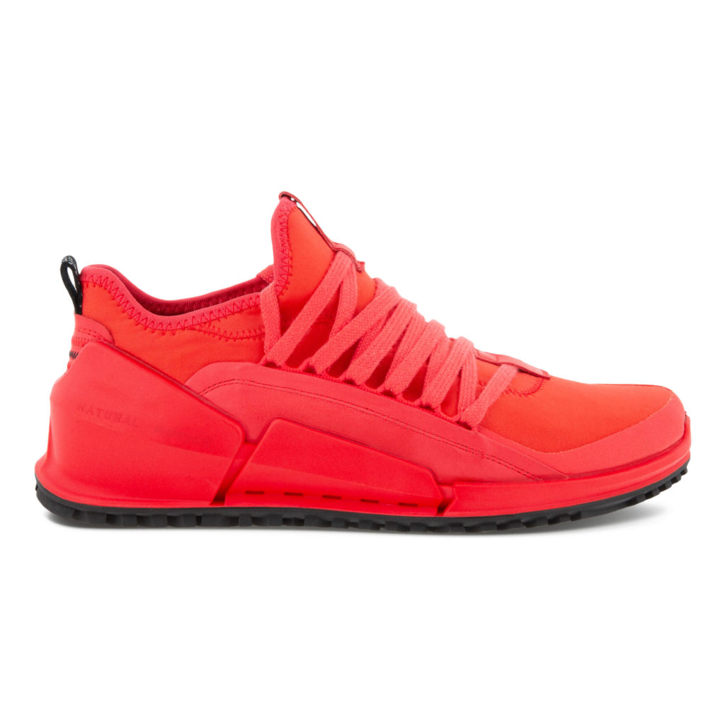 Sneaker 80062352558