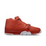 Air Jordan Trainer 1 806942-881