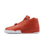 Air Jordan Trainer 1 806942-881