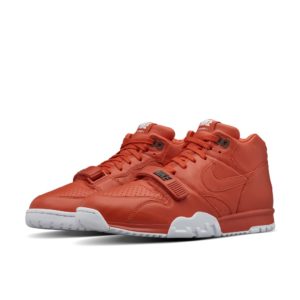 Nike  Air Trainer 1 Fragment Design Rust Rust/White-Rust (806942-881)