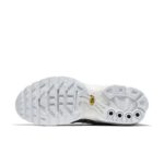 Nike Air Max Plus 862201-007