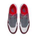 Nike Air Max 1 AH8145-100