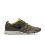 Nike Flyknit Trainer AH8396-300