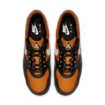 Nike Air Wildwood ACG AO3116-800