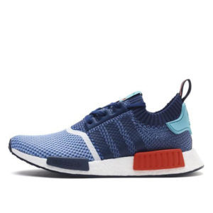 Adidas NMD R1 Packer Shoes (BB5051)