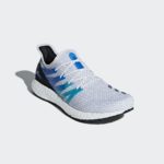 Adidas UltraBOOST BB6719