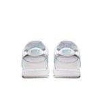 Nike Dunk Low BV1310-100
