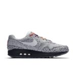 Nike Air Max 1 CI1505-001