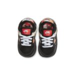 Nike SB Dunk CJ1396-001