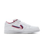 Nike Dunk Low CN4504-100