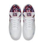Nike Dunk Low CN4504-100