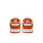 Nike Dunk Low CU1726-101