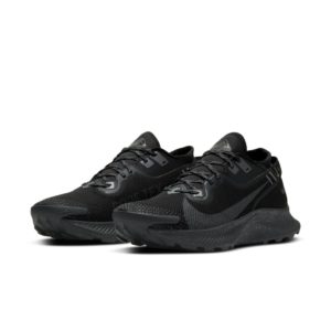 Nike Pegasus Trail 2 GORE-TEX Trail Running Black (CU2016-001)