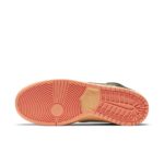 Nike SB Dunk DC6887-200