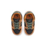 Nike Dunk Low DC8315-001