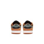Nike Dunk Low DC8315-001