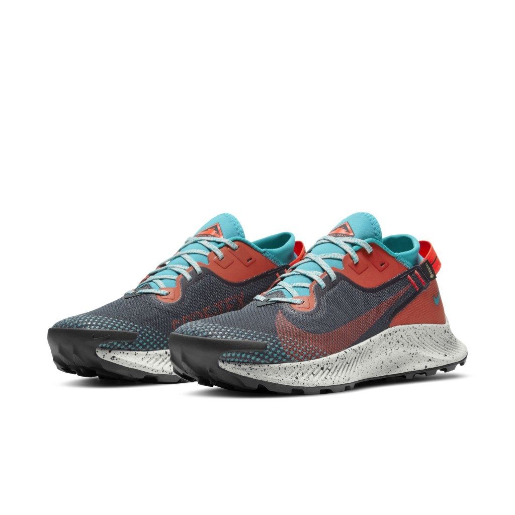 Nike Pegasus Trail 2 GORE-TEX Trail Running Black (DH0202-001)