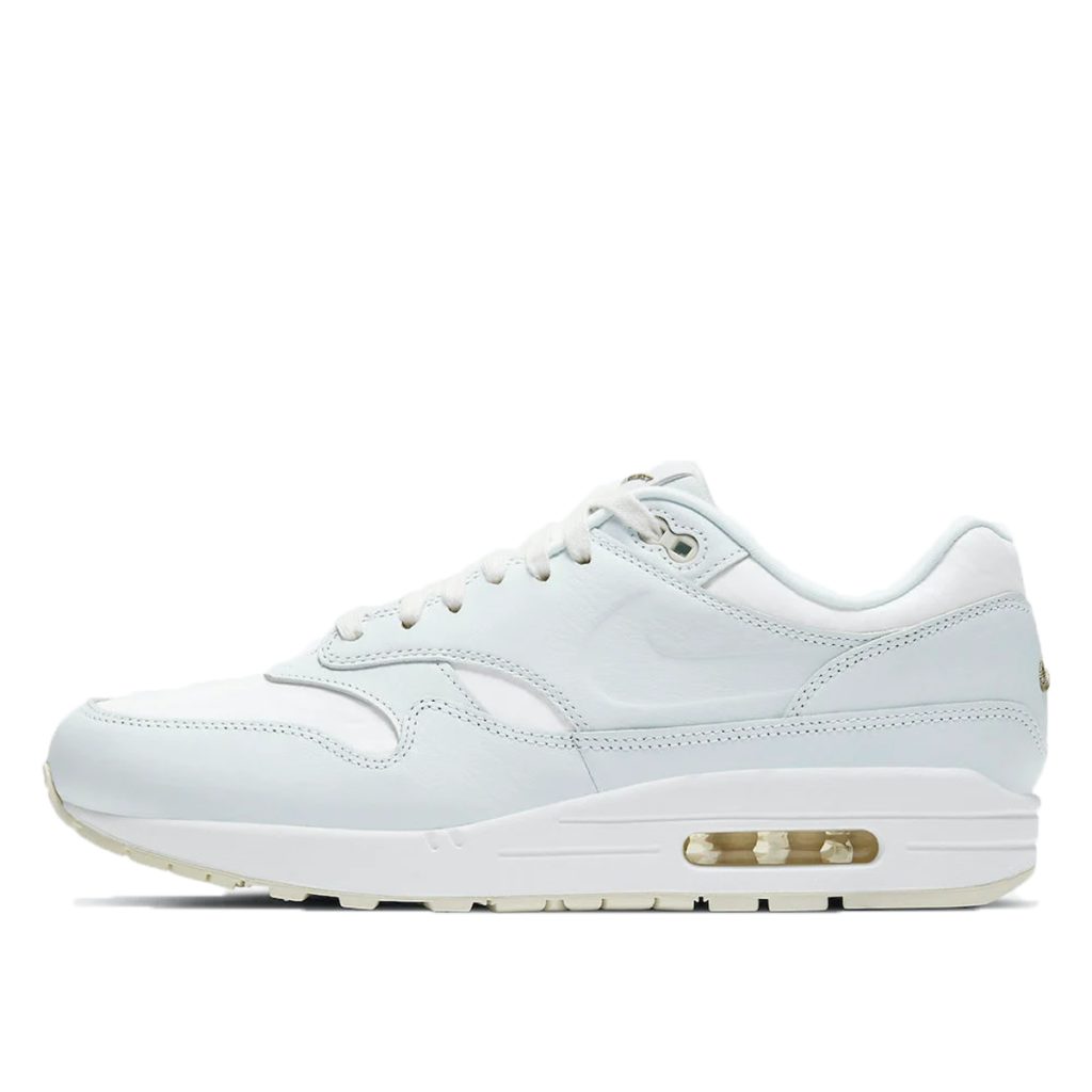 Nike Air Max 1 DH5493-100