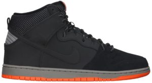 Nike Dunk High PRM Shield (684805-001)