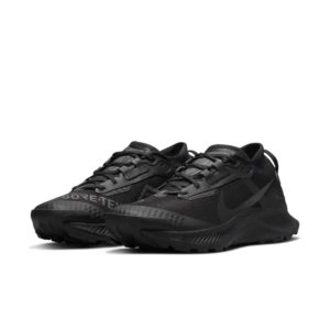 Nike Pegasus Trail 3 GORE-TEX Waterproof Trail Running Black (DC8794-001)