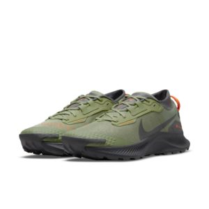 Nike Pegasus Trail 3 GORE-TEX Trail Running Green (DO6728-300)
