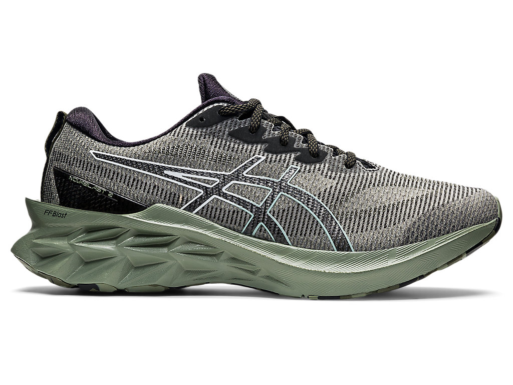 Asics NOVABLAST 2 LE Lichen Green/White (1011B331.300)