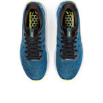Asics Gel Nimbus 24 1011B359.003