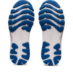 Asics Gel Nimbus 24 1012B201.400