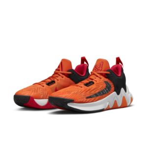Giannis Immortality 2 Basketball Orange (DM0825-800)