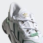adidas x Raf Simons Ozweego FZ3779