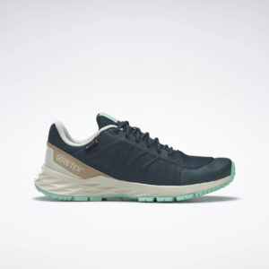 Reebok Astroride Trail GTX 2.0 Shoes Forest Green / Alabaster / Hint Mint (HP9726)