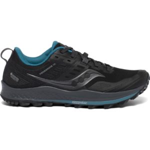 Saucony  Peregrine 10 GTX Black (S10542-2)