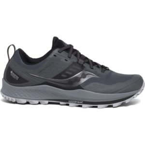 Saucony Peregrine 10 GTX Grey (S20542-1)