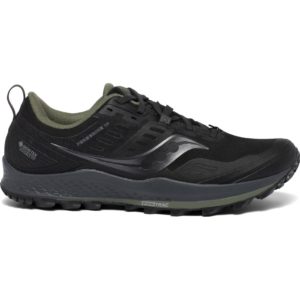 Saucony  Peregrine 10 GTX Black (S20542-2)