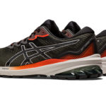 Asics GT 1011B573.300