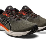 Asics GT 1011B573.300