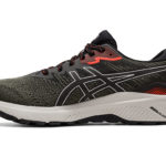 Asics GT 1011B573.300