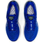 Asics Gel Kayano 1012B047.400