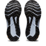 Asics GT 1012B388.001