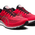 Asics Gel Kayano 1011B189.600