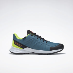 Reebok Astroride Trail GTX 2.0 Shoes Steely Blue S23-R / Cloud White / Core Black (HQ9055)
