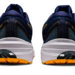 Asics GT 1011B354.402