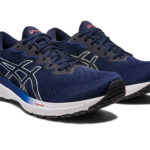 Asics GT 1011B354.403