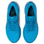 Asics Gel Kayano 1011B440.402